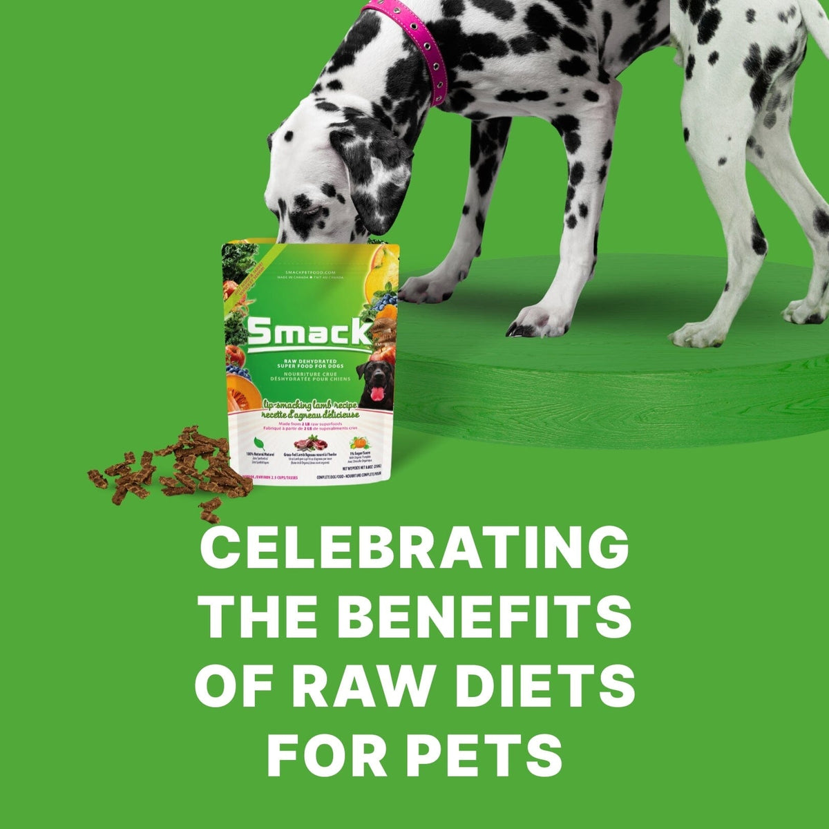 Beautiful view of Raw Food Diet For Dogs Digestive Health