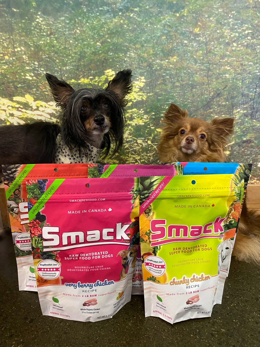 Local Business Spotlight In The Raw Smack Pet Food