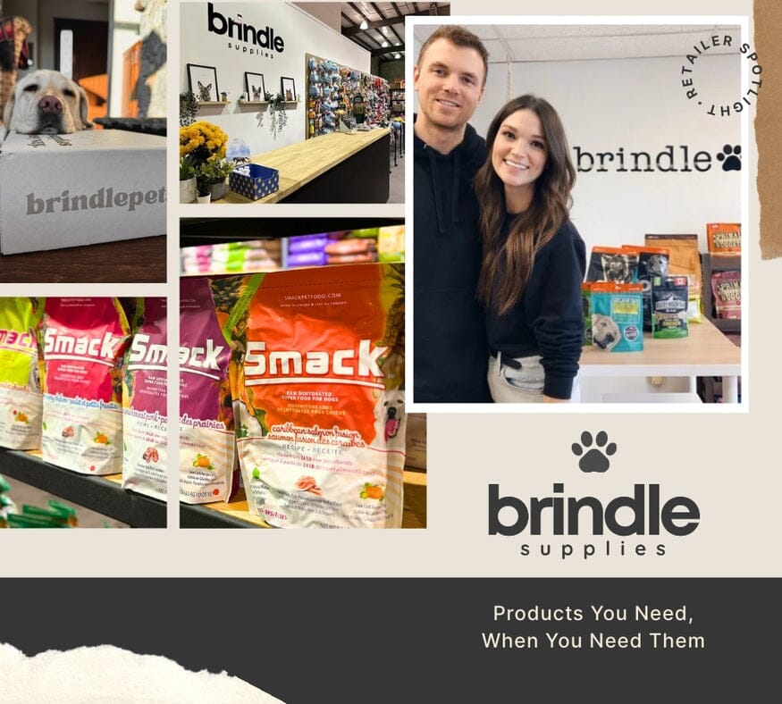 Brindle Pet Supplies: Products You Need, When You Need Them