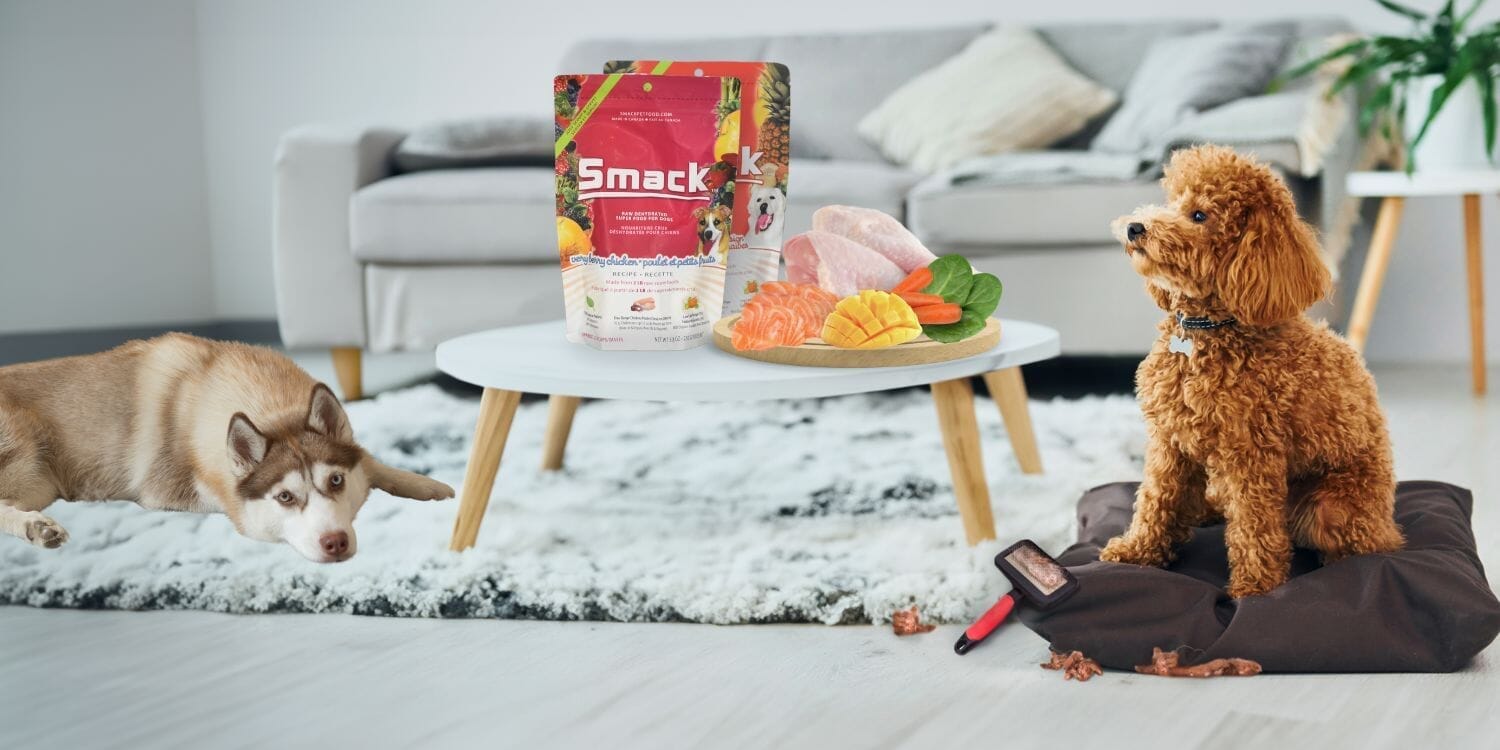How nutrition affects your pet’s shedding and coat health