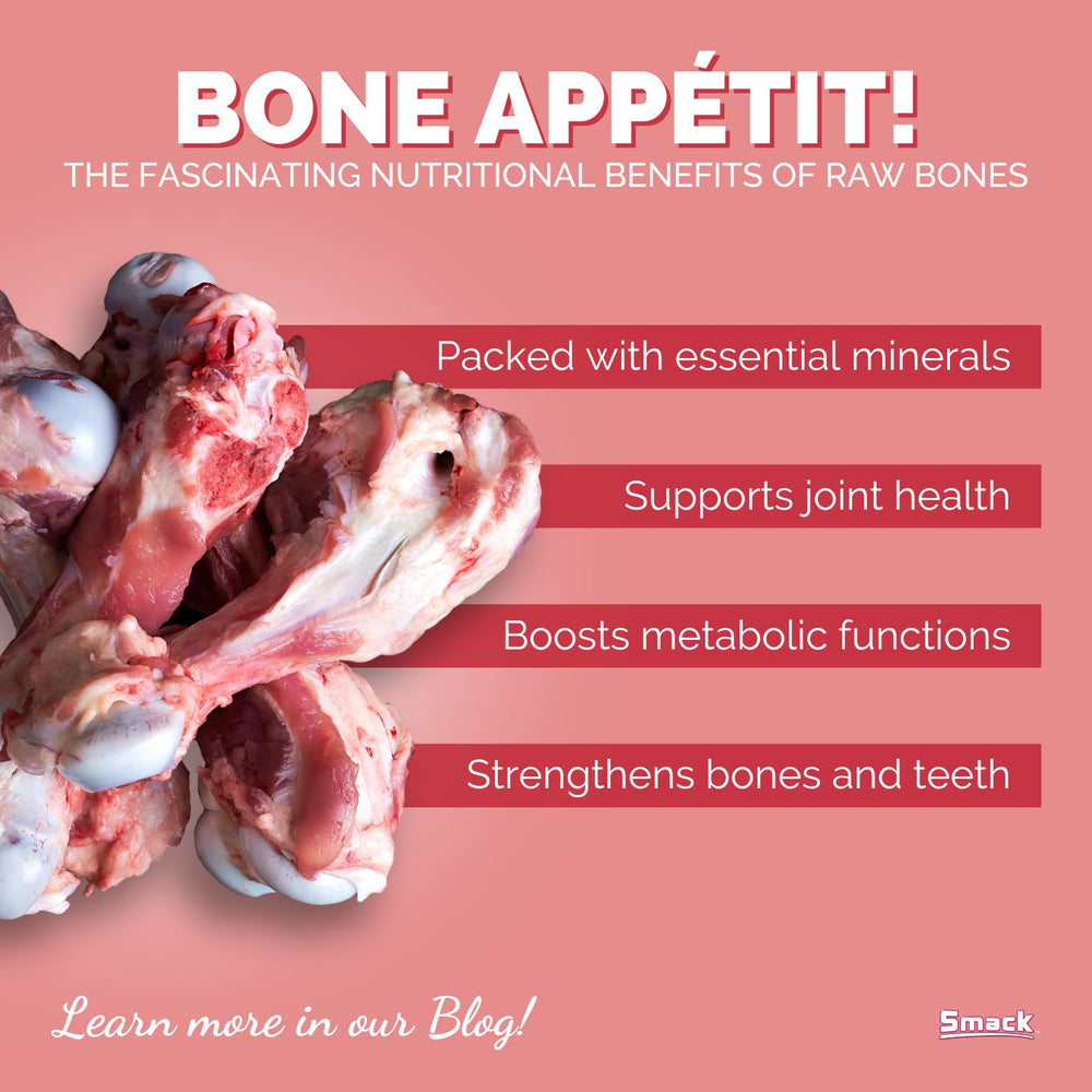 The Nutritional Benefits of Raw Bones for Dogs and Cats