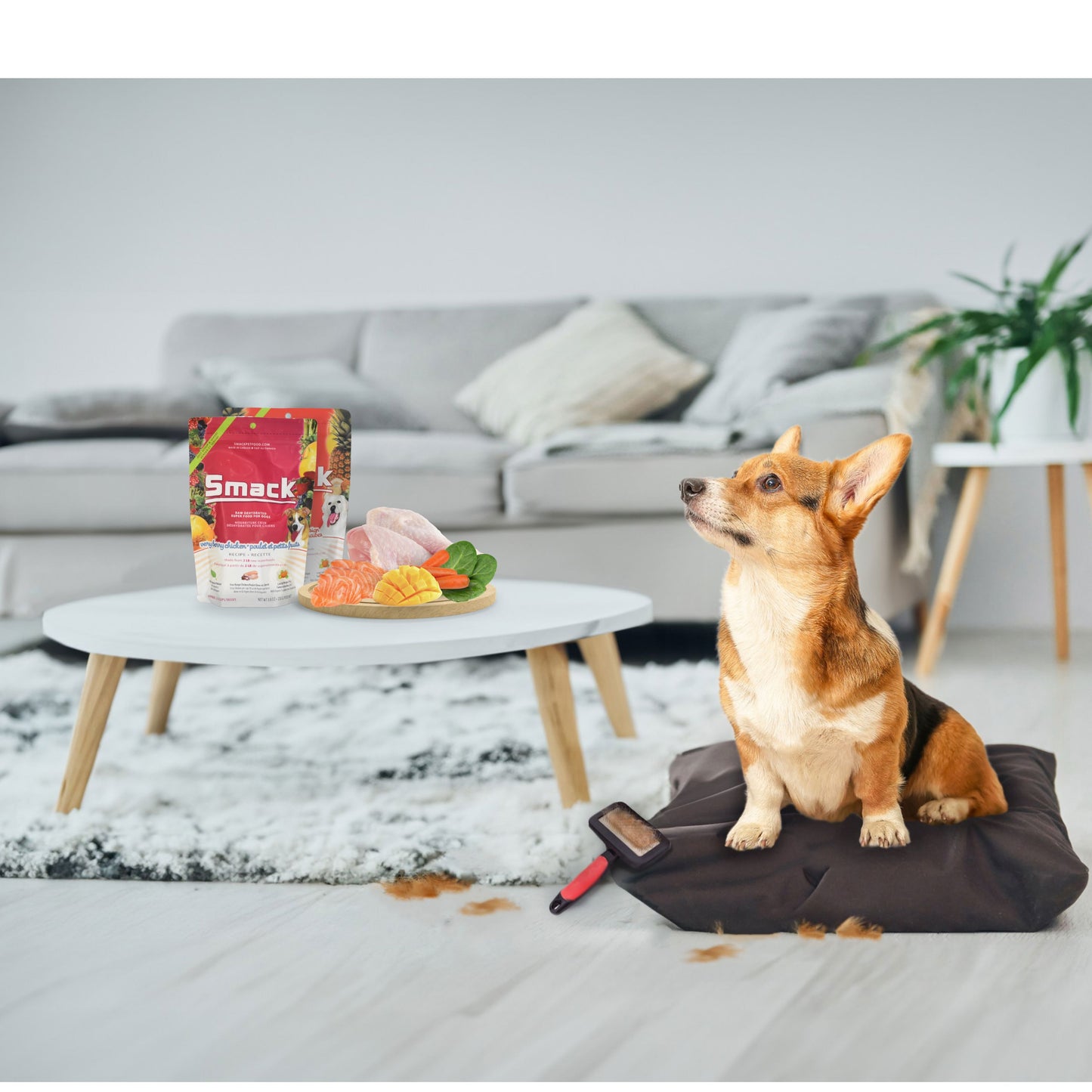 Treat Pets’ Dietary Allergies the Natural Way With Smack!