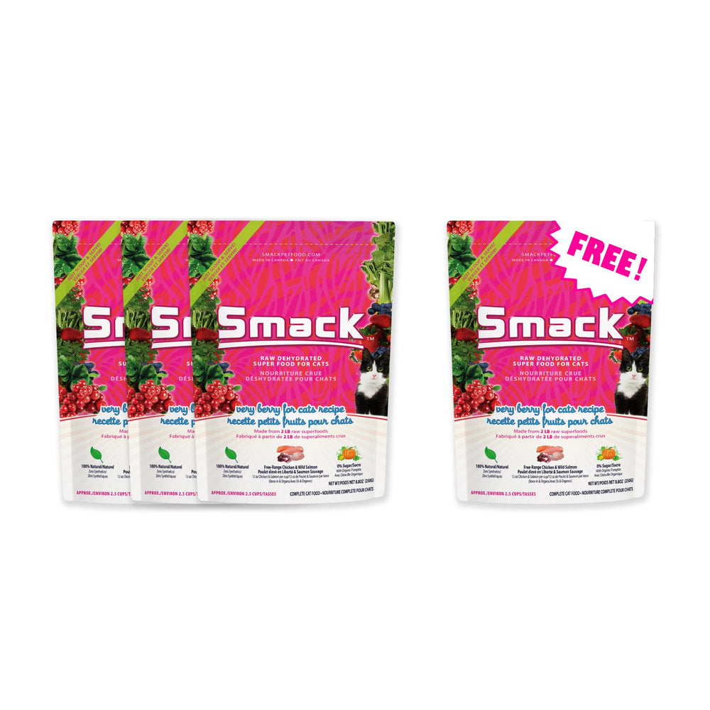 3x Very Berry for Cats 250g + FREE Very Berry for Cats 250g (Cat) Crunchy Style Smack Pet Food 