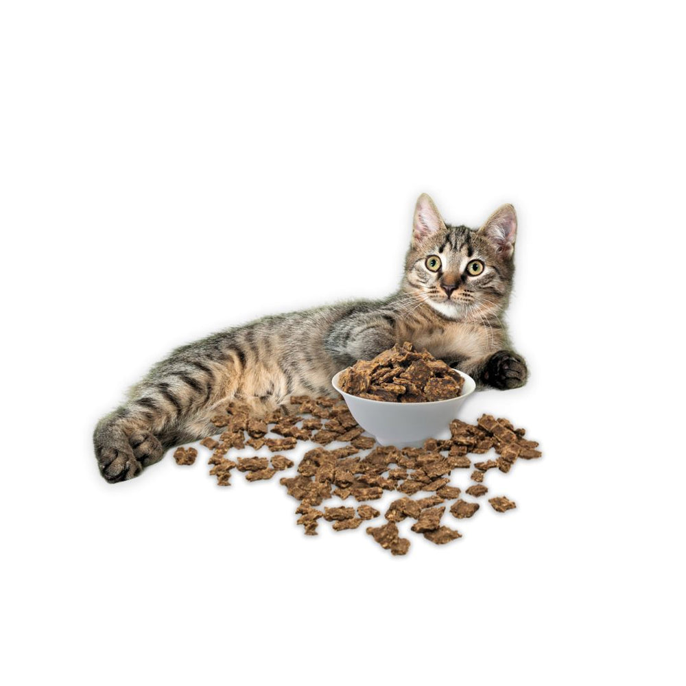 
                  
                    BOGO Bundle: 2x Pacific Fish Feast 250g + Pacific Fish Feast 250g (Cat) Crunchy Style Smack Pet Food 
                  
                