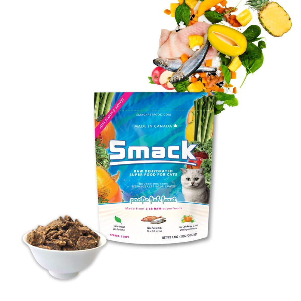 BOGO Bundle: 2x Pacific Fish Feast 250g + Pacific Fish Feast 250g (Cat) Crunchy Style Smack Pet Food 
