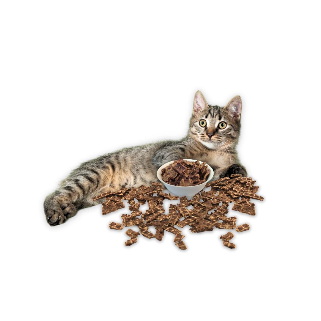 
                  
                    BOGO Bundle: 2x Very Berry for Cats 250g + Very Berry for Cats 250g (Cat) Crunchy Style Smack Pet Food 
                  
                