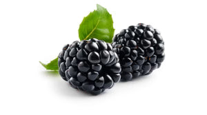 Organic Blackberry