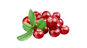 Organic Cranberry