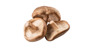 Organic Shiitake Mushroom