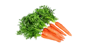 Organic Carrot