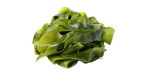 Organic Kelp
