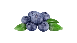Organic Blueberry