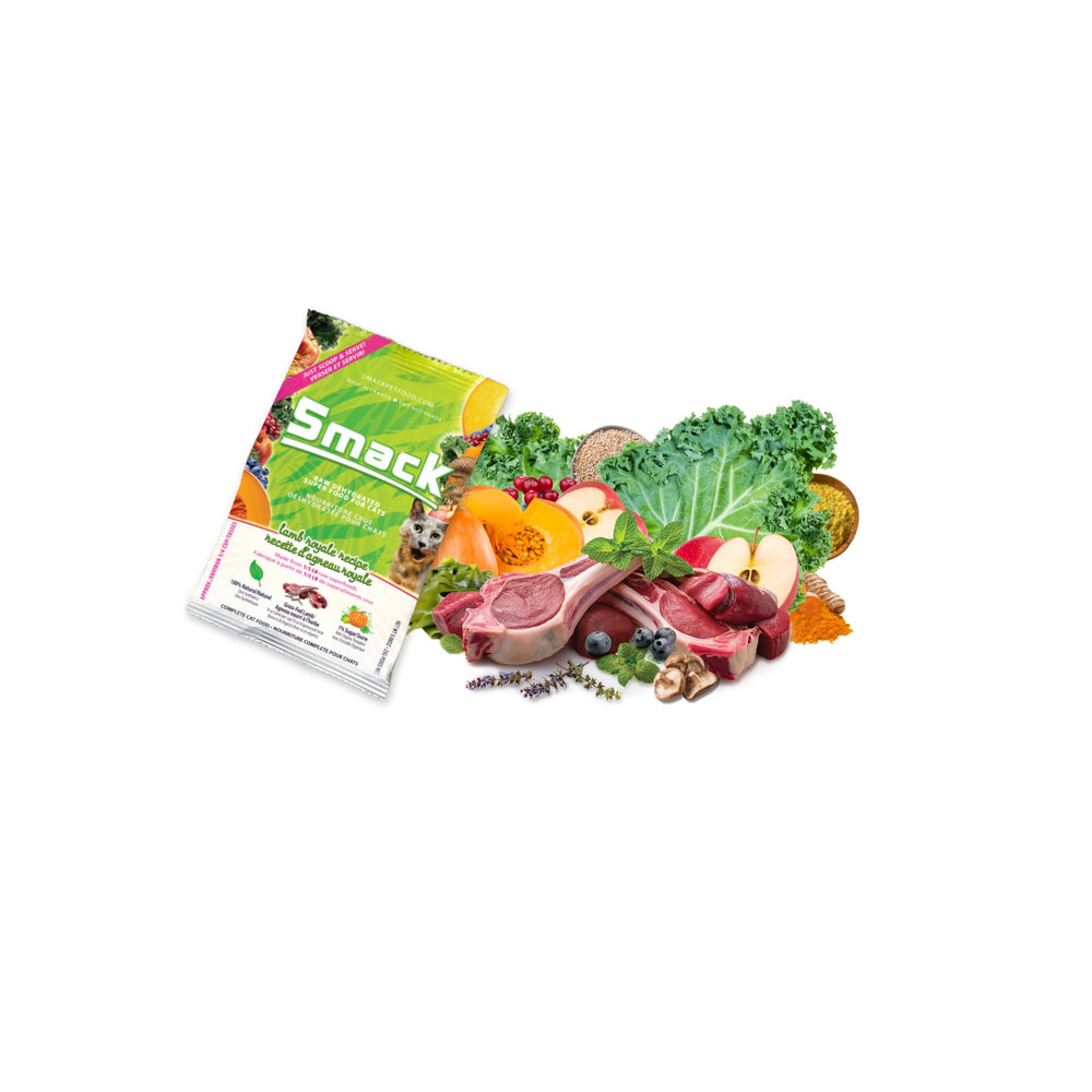 Sample Variety Pack for Cats Crunchy Style Smack Pet Food 
