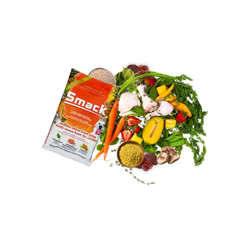 
                  
                    Sample Variety Pack for Dogs Crunchy Style Smack Pet Food 
                  
                