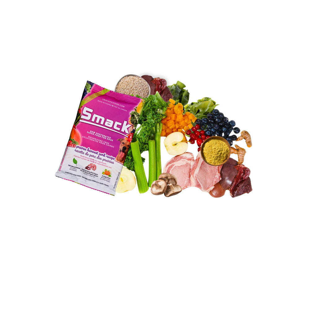 
                  
                    Sample Variety Pack for Dogs Crunchy Style Smack Pet Food 
                  
                