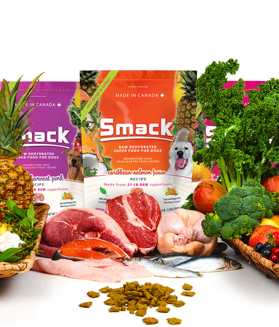 Smack Pet Food 5STAR RATED Whole Raw Foods Kibble Convenience