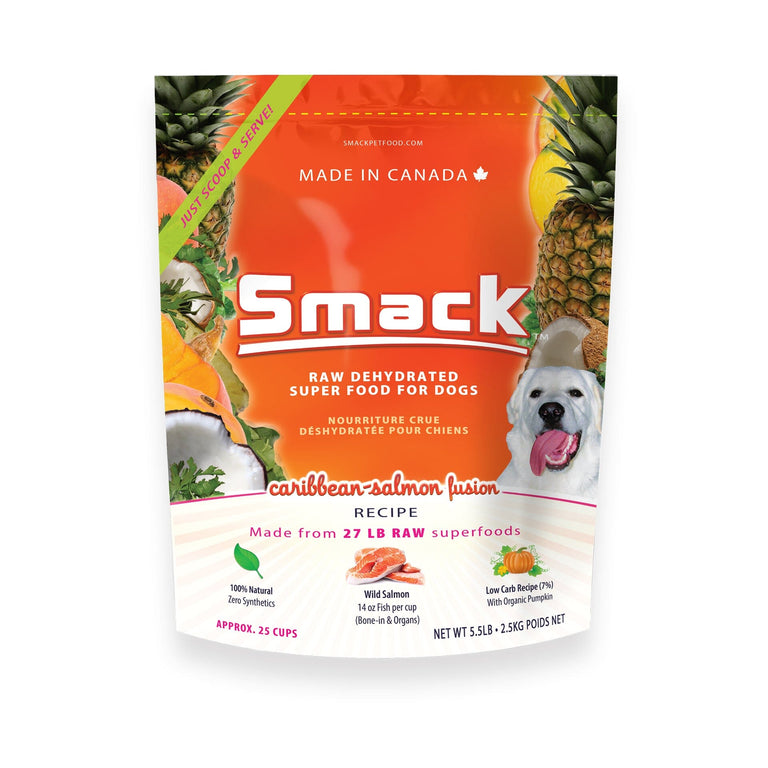 Elevating the Health of Your Senior Dog – Smack Pet Food