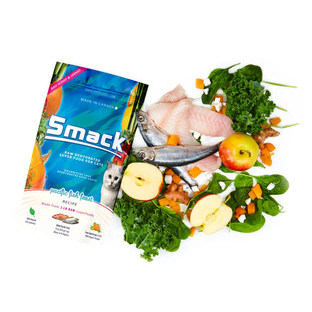 Pacific Fish Feast | B&B Co. | CAT Crunchy Style Smack Pet Food 