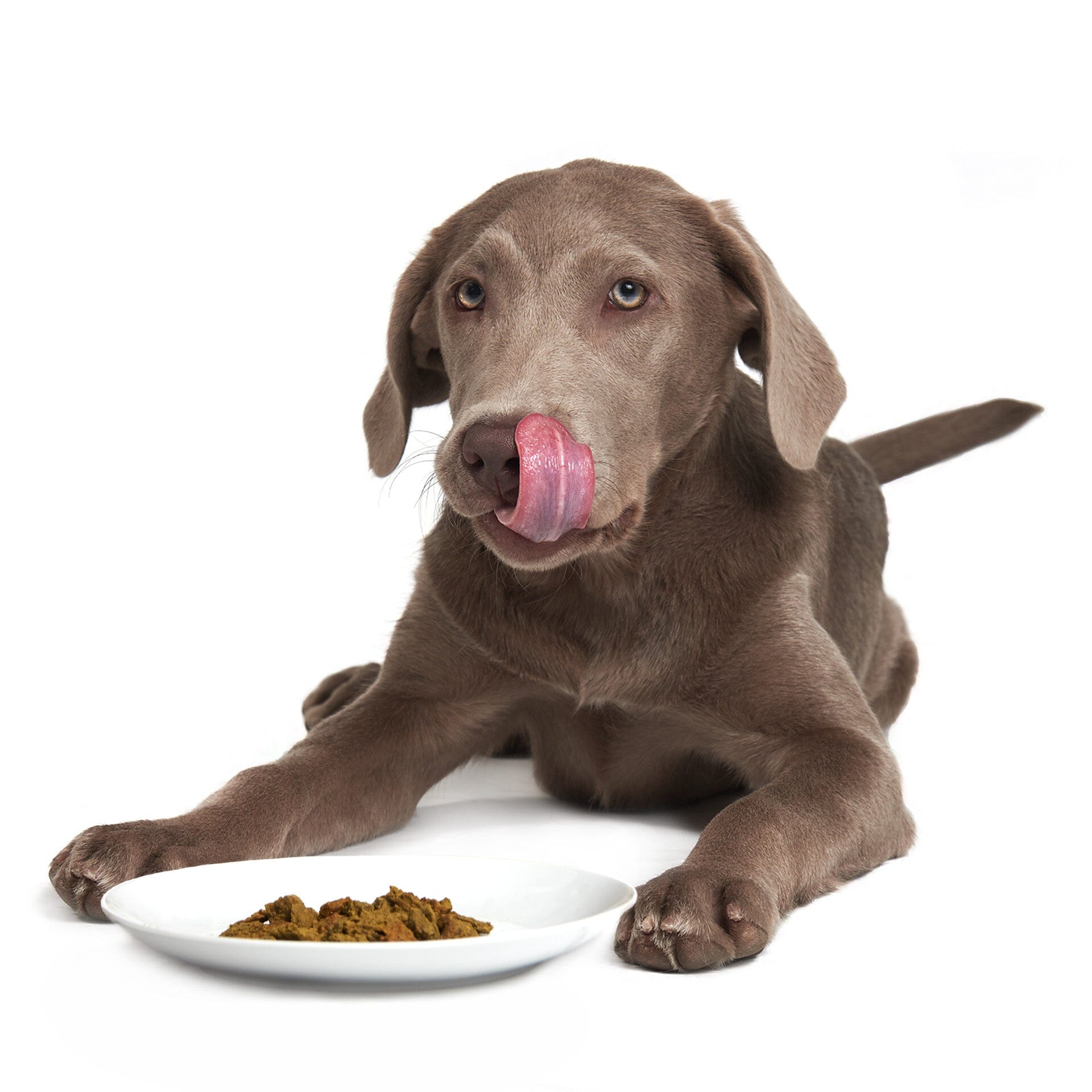 Prairie Harvest Pork (DOG) Crunchy Style Smack Pet Food 