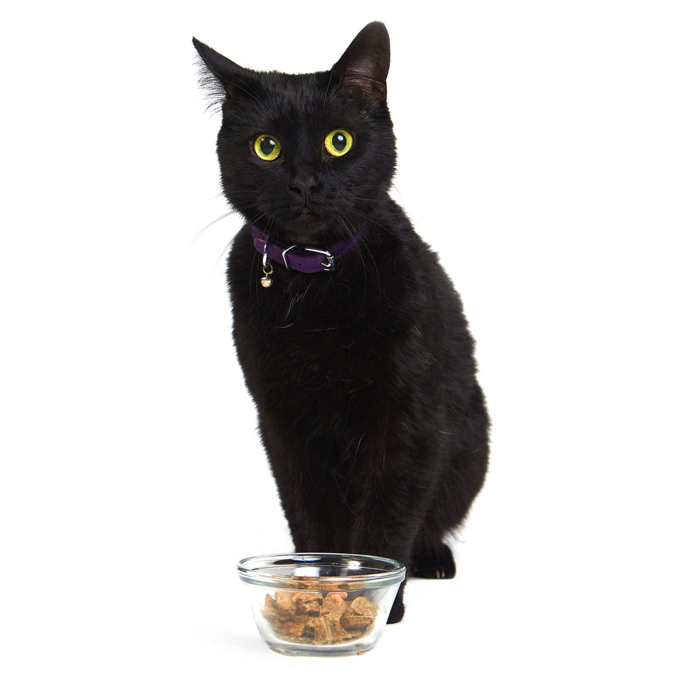 Purrfect Pork (CAT) Crunchy Style Smack Pet Food 