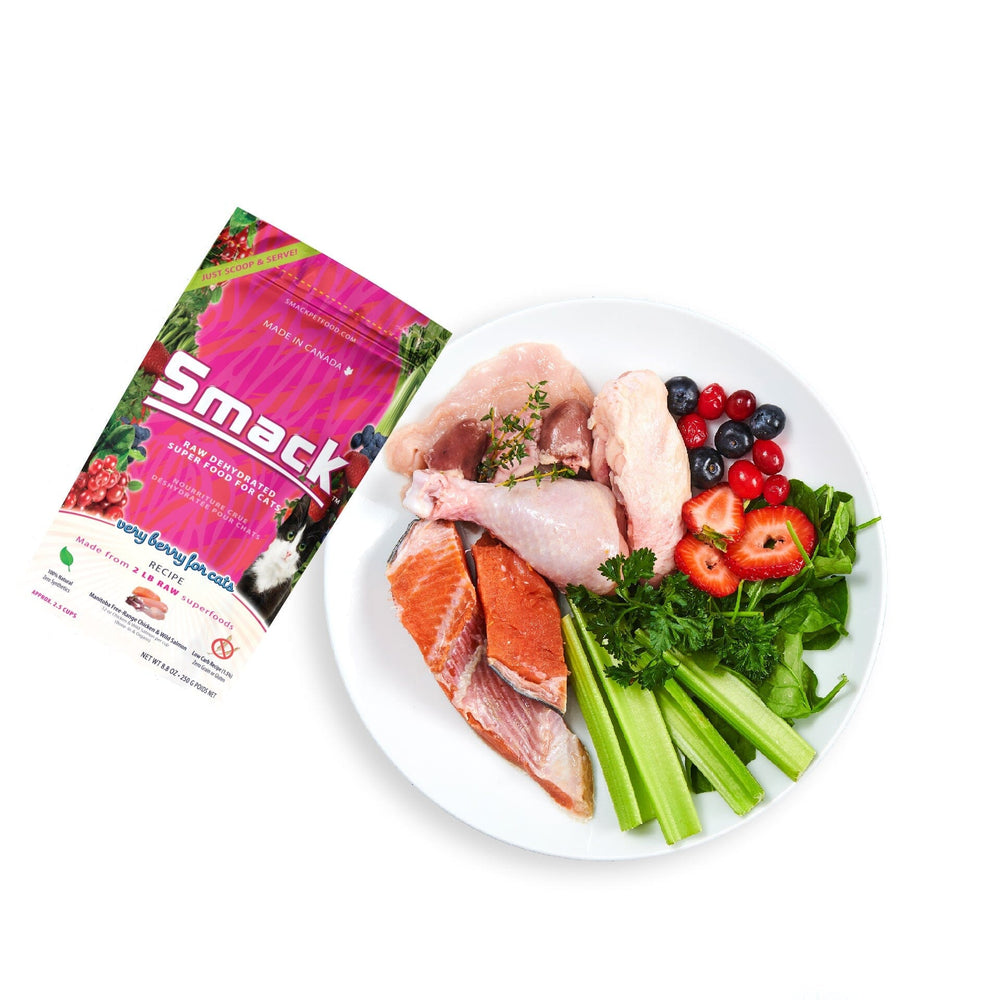 Very Berry for Cats | B&B Co. | CAT Crunchy Style Smack Pet Food 